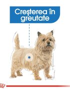 Royal Canin Light Weight Care Adult hrană umedă câini limitarea creșterii în greutate (pate) bax 85g x 12buc