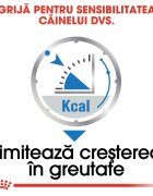 Royal Canin Light Weight Care Adult hrană umedă câini limitarea creșterii în greutate (pate) bax 85g x 12buc