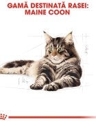 Royal Canin Maine Coon Adult hrană uscată pisici 10kg