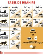 Royal Canin Maine Coon Adult hrană uscată pisici 10kg