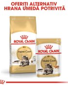 Royal Canin Maine Coon Adult hrană uscată pisici 4kg