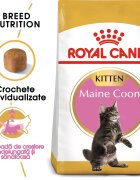 Royal Canin Maine Coon Kitten hrană uscată pisici junior 10kg