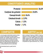 Royal Canin Maine Coon Kitten hrană uscată pisici junior 10kg