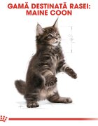 Royal Canin Maine Coon Kitten hrană uscată pisici junior 2kg