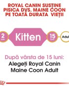 Royal Canin Maine Coon Kitten hrană uscată pisici junior 2kg
