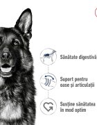 Royal Canin Maxi Adult hrană uscată câini 15kg