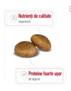 Royal Canin Maxi Adult hrană uscată câini 15kg
