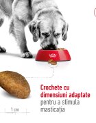 Royal Canin Maxi Adult hrană uscată câini 15kg