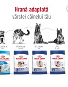 Royal Canin Maxi Adult hrană uscată câini 15kg