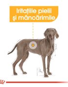 Royal Canin Maxi Dermacomfort hrană uscată câini prevenirea iritațiilor pielii 12kg