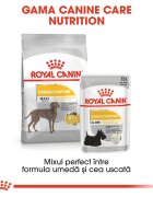 Royal Canin Maxi Dermacomfort hrană uscată câini prevenirea iritațiilor pielii 12kg