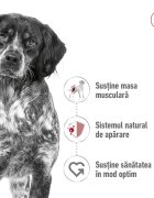 Royal Canin Medium Adult hrană umedă câini (în sos) 140g