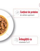 Royal Canin Medium Adult hrană umedă câini (în sos) 140g