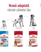 Royal Canin Medium Adult hrană umedă câini (în sos) 140g