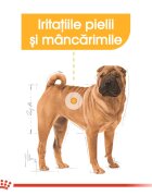 Royal Canin Medium Dermacomfort hrană uscată câini prevenirea iritațiilor pielii 12kg