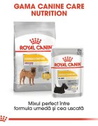 Royal Canin Medium Dermacomfort hrană uscată câini prevenirea iritațiilor pielii 3kg