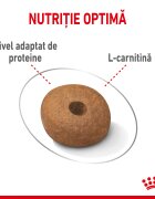 Royal Canin Medium Light Weight Care Adult hrană uscată câini limitarea creșterii în greutate 12kg