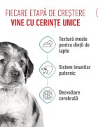Royal Canin Medium Puppy hrană umedă câini junior (în sos) bax 140g x 10buc