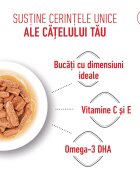Royal Canin Medium Puppy hrană umedă câini junior (în sos) bax 140g x 10buc