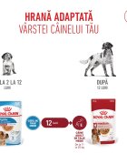 Royal Canin Medium Puppy hrană umedă câini junior (în sos) bax 140g x 10buc
