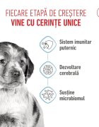 Royal Canin Medium Puppy hrană uscată câini junior 1kg