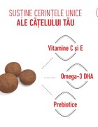 Royal Canin Medium Puppy hrană uscată câini junior 1kg