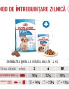 Royal Canin Medium Puppy hrană uscată câini junior 1kg