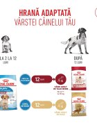 Royal Canin Medium Puppy hrană uscată câini junior 1kg