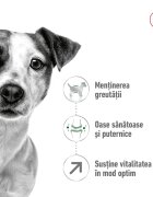 Royal Canin Mini Adult 8+ hrană uscată câini 8kg