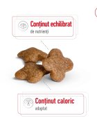 Royal Canin Mini Adult 8+ hrană uscată câini 8kg