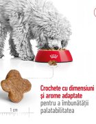 Royal Canin Mini Adult 8+ hrană uscată câini 8kg
