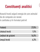 Royal Canin Mini Adult 8+ hrană uscată câini 8kg