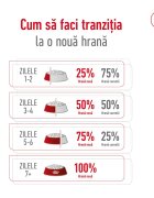 Royal Canin Mini Adult 8+ hrană uscată câini 8kg