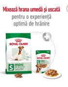 Royal Canin Mini Adult 8+ hrană uscată câini 8kg