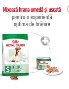 Royal Canin Mini Adult 8+ hrană uscată câini 8kg