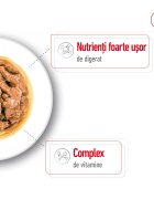 Royal Canin Mini Adult hrană umedă câini (în sos) bax 85g x 12buc
