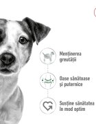 Royal Canin Mini Adult hrană uscată câini 8kg