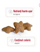 Royal Canin Mini Adult hrană uscată câini 8kg