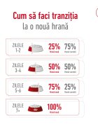 Royal Canin Mini Adult hrană uscată câini 8kg