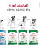 Royal Canin Mini Adult hrană uscată câini 8kg
