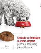 Royal Canin Mini Ageing 12+ hrană uscată câini senior 1.5kg