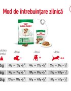 Royal Canin Mini Ageing 12+ hrană uscată câini senior 1.5kg