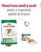 Royal Canin Mini Ageing 12+ hrană uscată câini senior 1.5kg