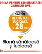 Royal Canin Mini Coat Care Adult hrană uscată câini 3kg