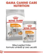 Royal Canin Mini Coat Care Adult hrană uscată câini 3kg