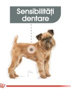 Royal Canin Mini Dental Care Adult hrană uscată câini reducerea formării tartrului 1kg