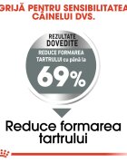 Royal Canin Mini Dental Care Adult hrană uscată câini reducerea formării tartrului 1kg