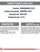 Royal Canin Mini Dental Care Adult hrană uscată câini reducerea formării tartrului 1kg