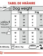 Royal Canin Mini Dental Care Adult hrană uscată câini reducerea formării tartrului 1kg