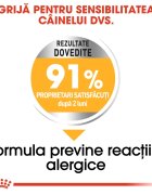 Royal Canin Mini Dermacomfort hrană uscată câini prevenirea iritațiilor pielii 8kg
